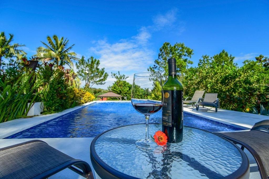 Haus Unter Palmen Villa Jarabacoa Exterior foto